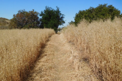 DSCN4140_resize
