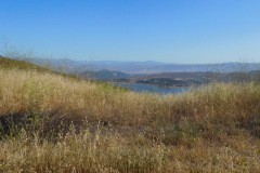 DSCN4141_resize