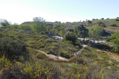 DSCN4144_resize