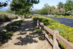 DSCN4145_resize