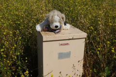 DSCN4160_resize