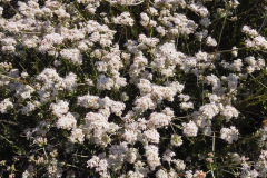 DSCN4163_resize