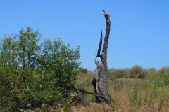 DSCN4164_resize