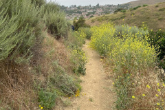 IMG_0721.1_resize