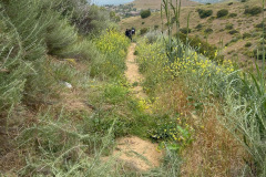 IMG_0722.1_resize