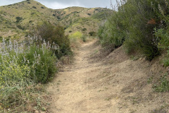 IMG_0724.1_resize