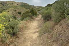 IMG_0725.1_resize