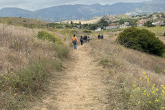 IMG_0726.1_resize