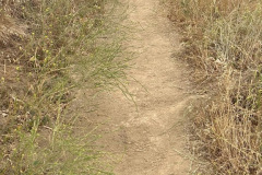 IMG_2073_resize