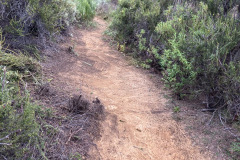 IMG_0260_resize