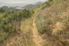 IMG_1978_resize