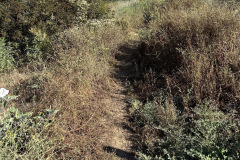 IMG_0949_resize