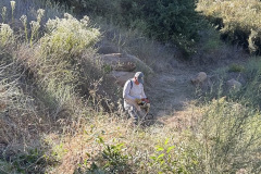 IMG_0950.1_resize