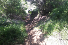 20230415_090842_resize