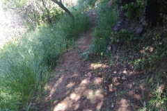 20230415_093639_HDR_resize