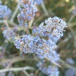 IMG_2544