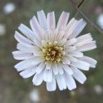IMG_3106