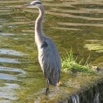 IMG_3576