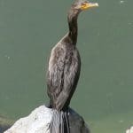 IMG_3580