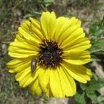 IMG_3936