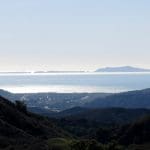 IMG_3954