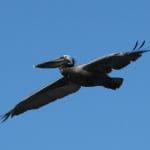 IMG_3978