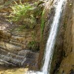 IMG_4746