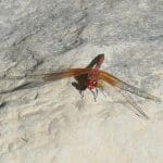IMG_4829