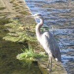 IMG_8908