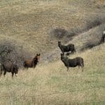 IMG_9578