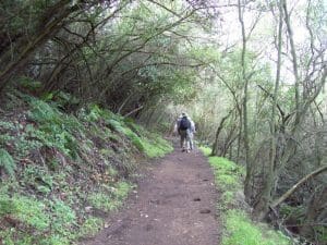 Backbone Trail Part 4:    Encinal Canyon Road Trailhead to Latigo Canyon Road Trailhead Shuttle