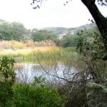 dsc03194