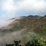 img010