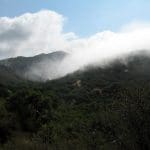 img011