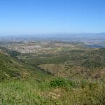 img_0008