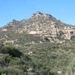 img_0017