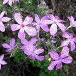 img_0020