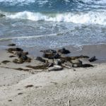img_0024