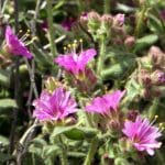 img_0048