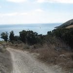 img_0049