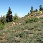 img_0127