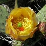 img_0128