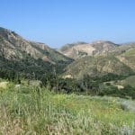 img_0145