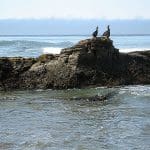 img_0147