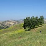 img_0149