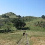 img_0150