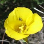 img_0181