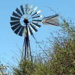 img_0484