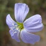 img_0586