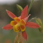 img_0628